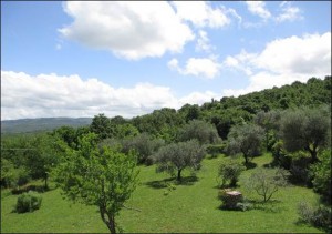 italy-umbria-view-from-house-2
