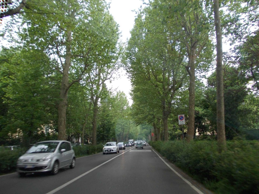 florence-tree-lined-road-piazzale-michelangelo